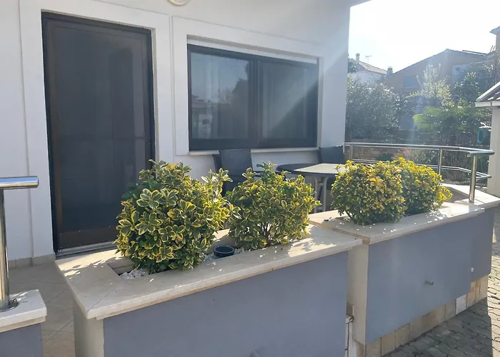Amado Living -