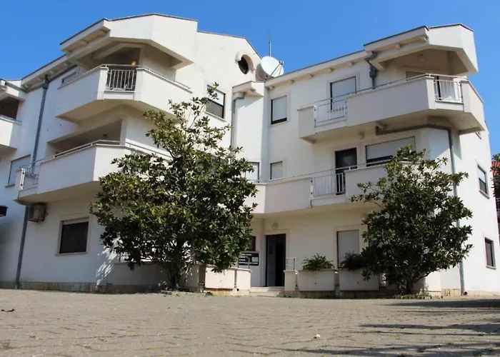 Amado Living - *
