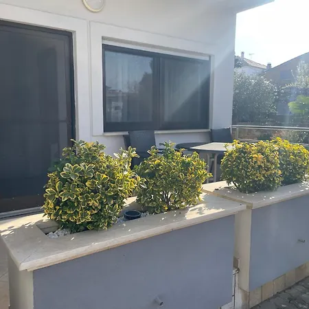 Amado Living -